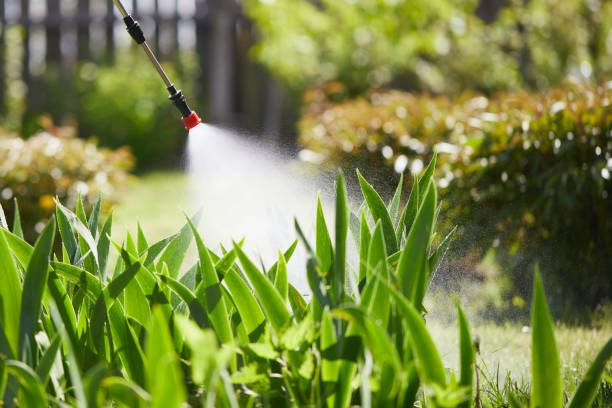 24/7 Emergency Mosquito Control experts in Southern Shops, SC