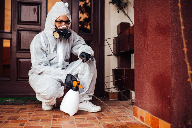 Reliable Mosquito Control contractor in Southern Shops, SC by Show Me Pest Control